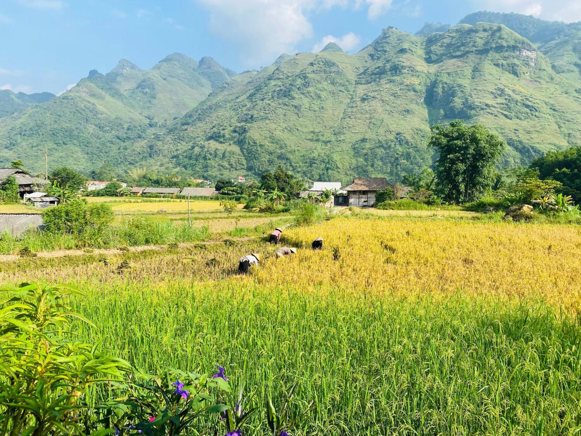 Du Gia Field View Homestay Làng Cac Exterior photo
