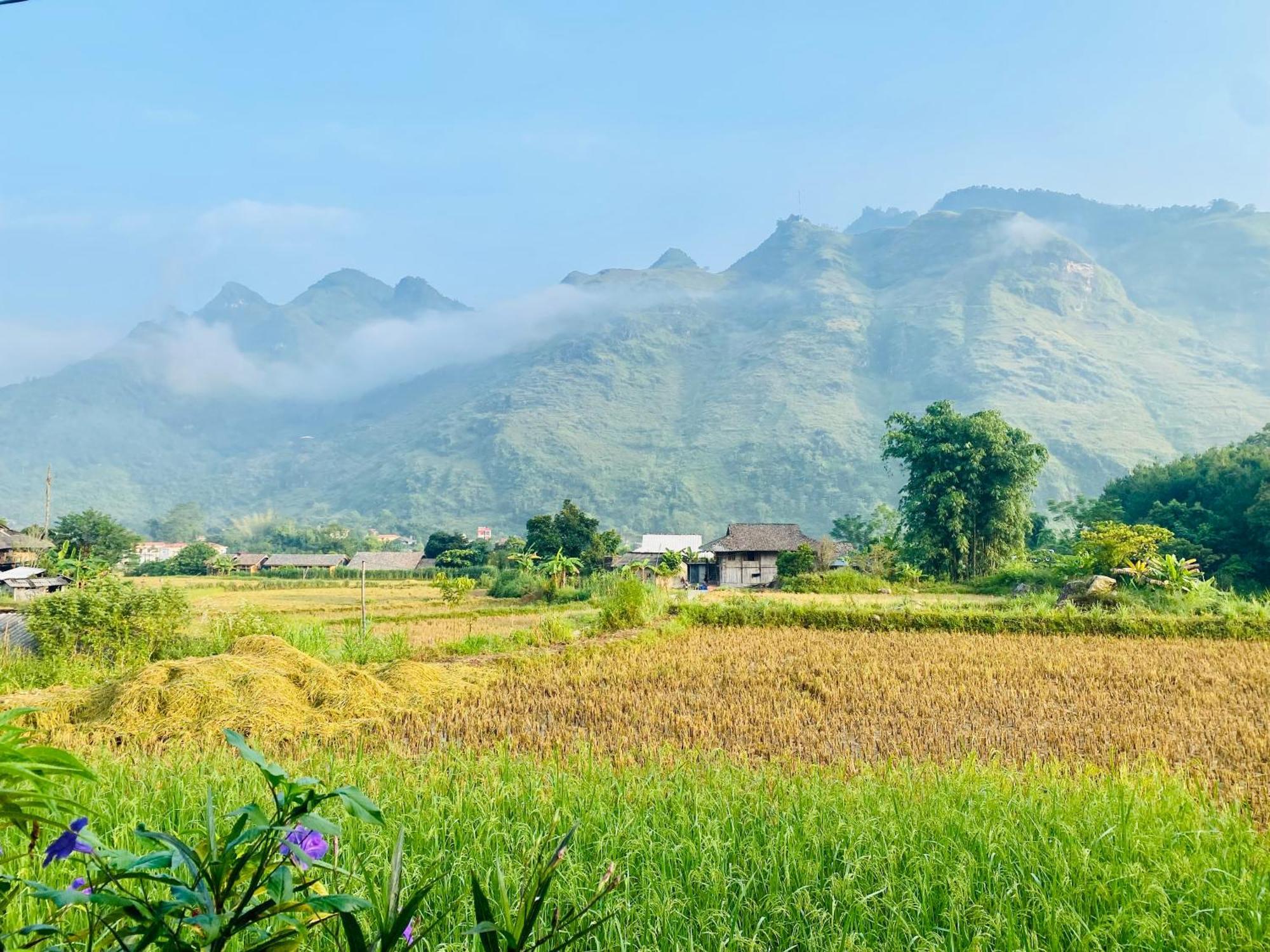 Du Gia Field View Homestay Làng Cac Exterior photo