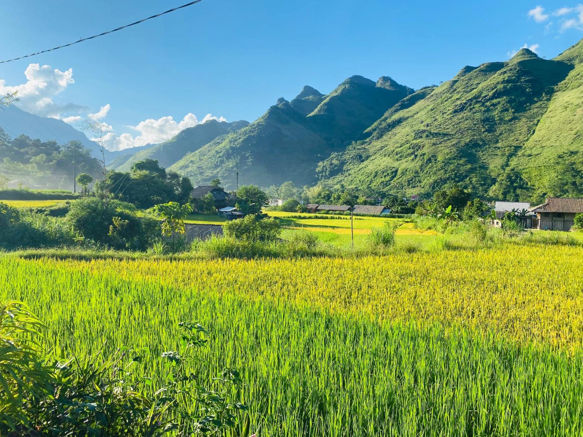 Du Gia Field View Homestay Làng Cac Exterior photo