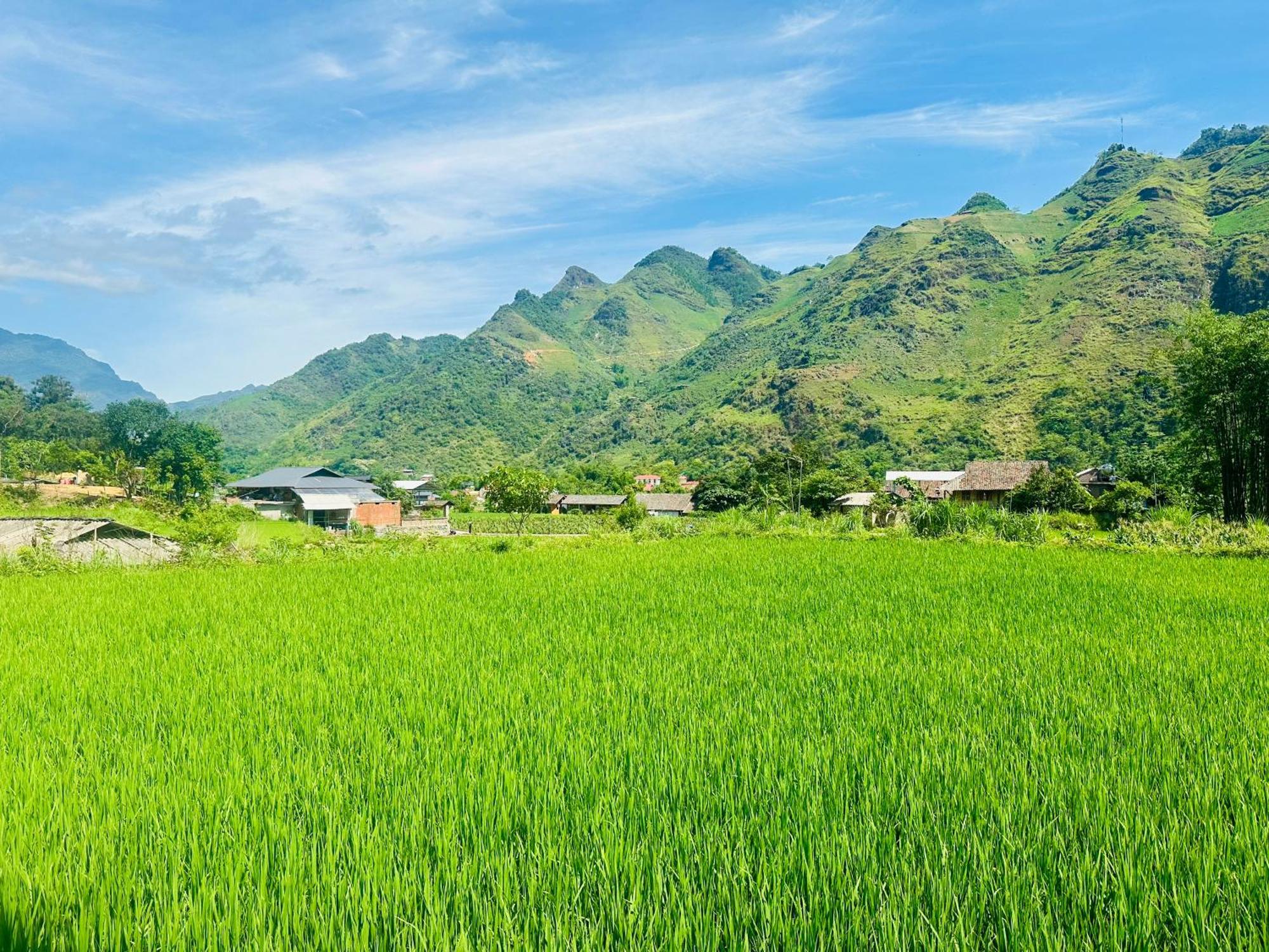 Du Gia Field View Homestay Làng Cac Exterior photo